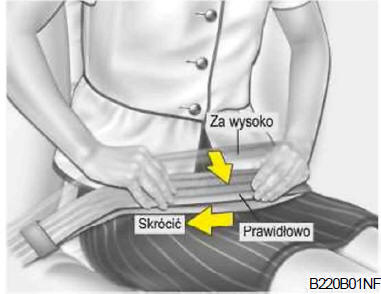 Pas biodrowy (opcja)